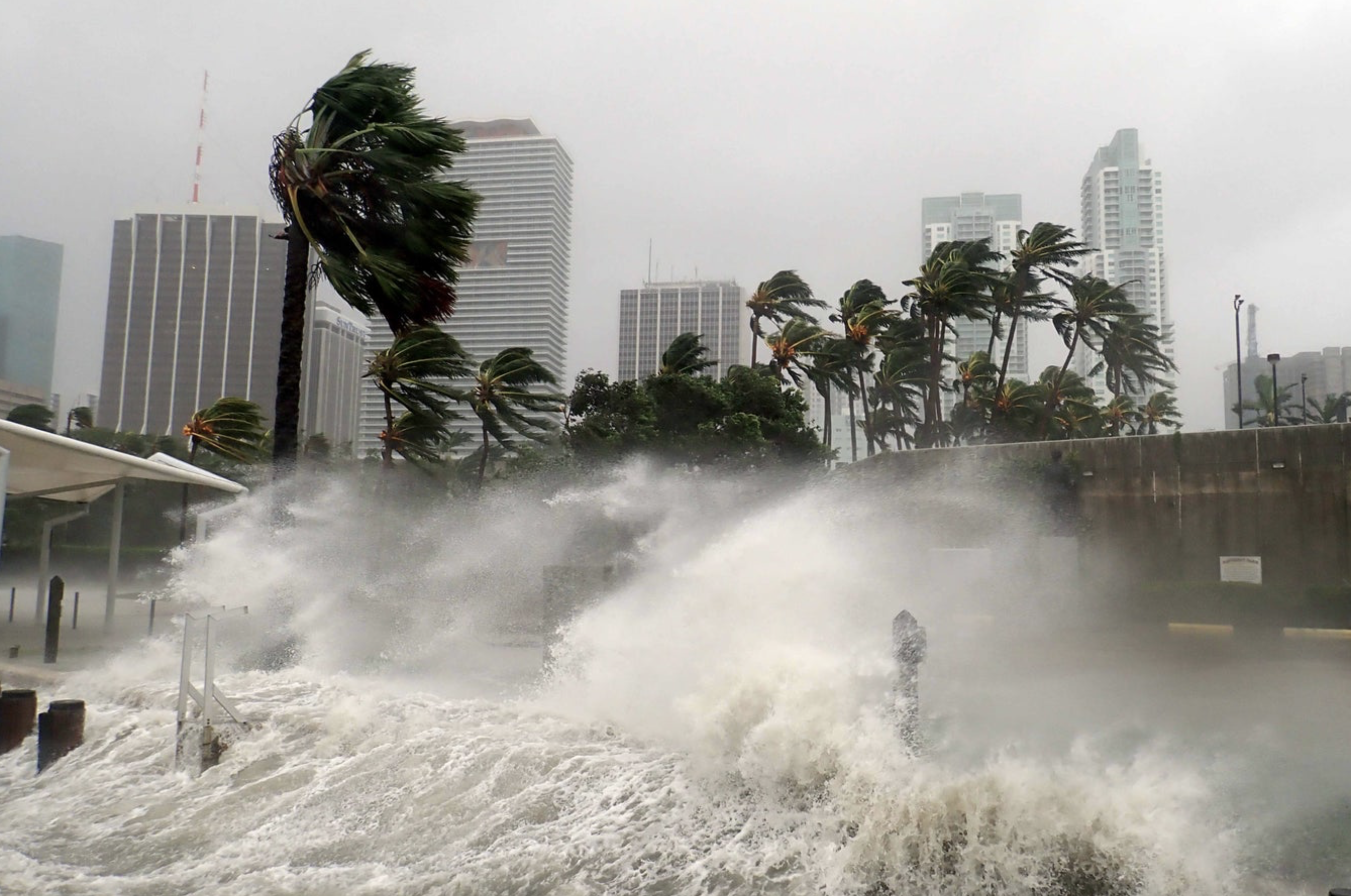If you live in Florida, know your elevation!